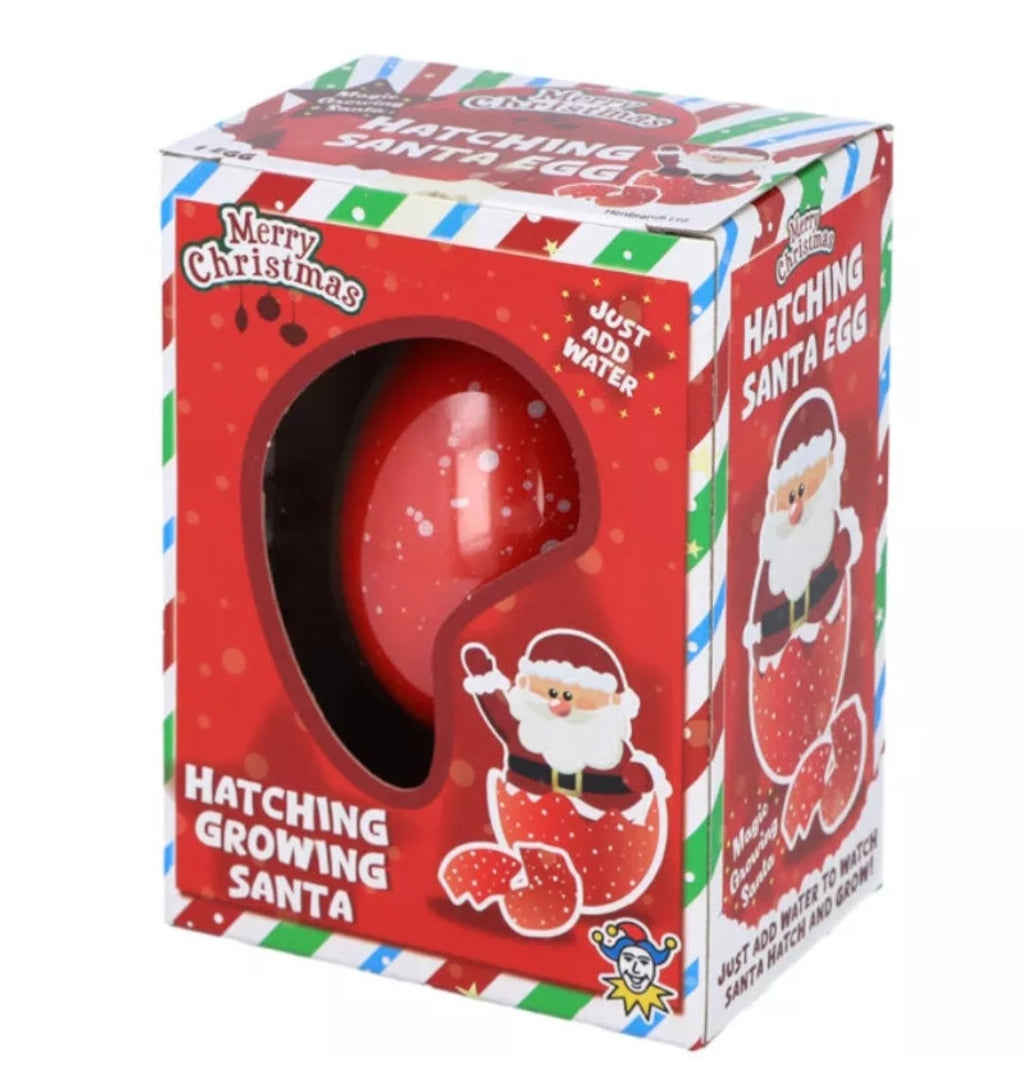 Hatch & Grow Santa Egg