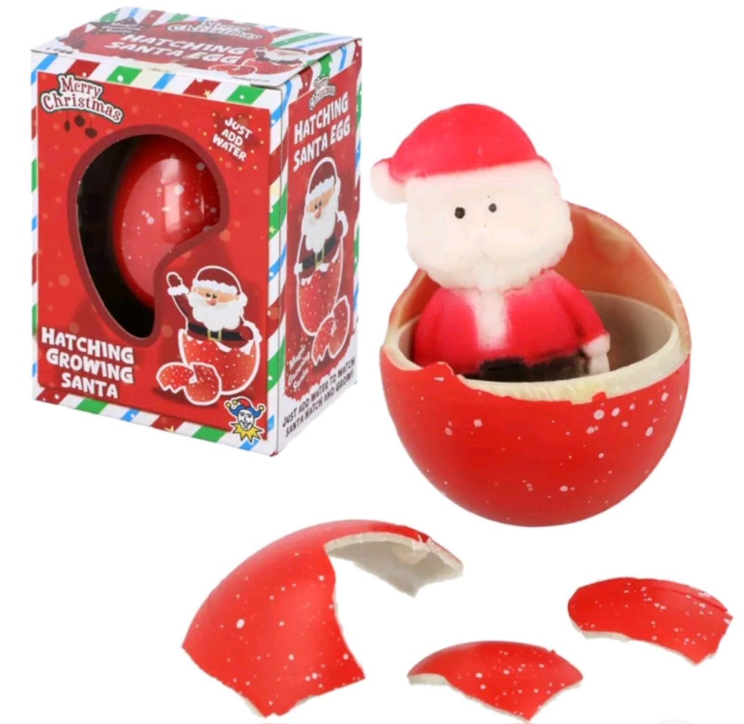 Hatch & Grow Santa Egg